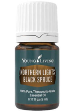 Northern Lights Black Spruce