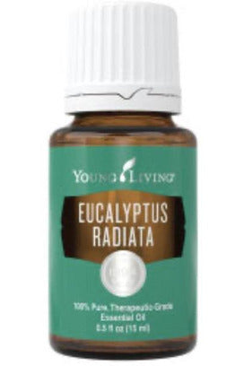 Eucalyptus Radiata