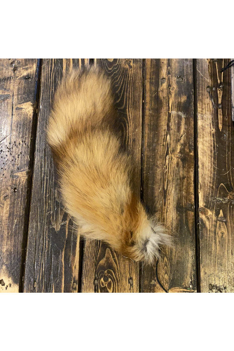 Small Fox tail