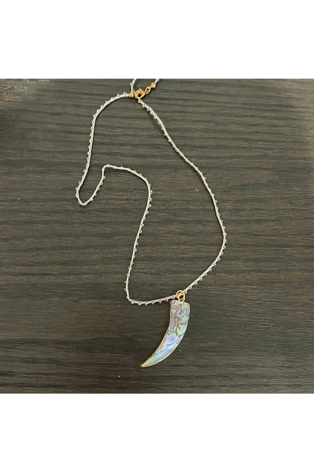 Abalone Horn Pendant Necklace